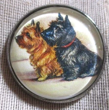 NEW GLASS DOME PICTURE BUTTON PAIR OF SCOTTY DOGS BROWN & BLACK FACING LEFT