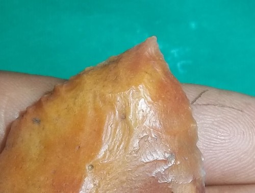Florida Arrowhead Artifact Point Needle Tip Sumter personal find coral - Picture 2 of 13