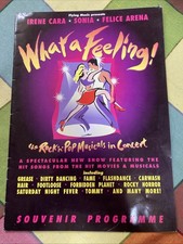 What A Feeling Souvenir Program Irene Cara Sonia 1996