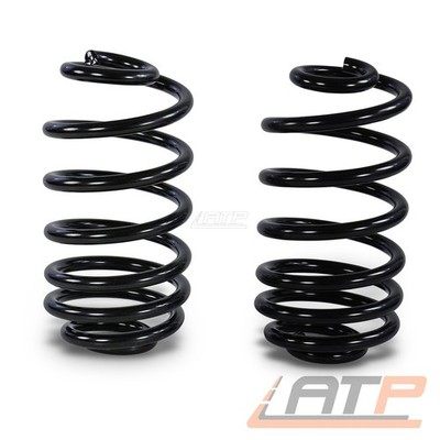 2x FEDER FAHRWERKSFEDER HINTEN FÜR OPEL INSIGNIA A SPORTS TOURER G09