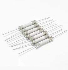 30 PCS T5A Fuses T5AH250V Ceramic Axial Lead Fuse 5AMP 250V Delay Slow Meltin...