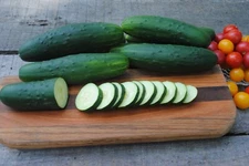 CUCUMBER SEEDS - LONG SLICING- Heirlooms - Non GMO - 1.gram