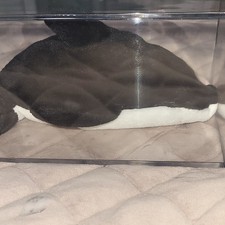 Small Black and White Whale Stuffed Animal Plush Toy in Display Case