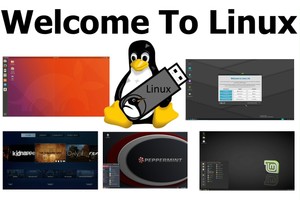 [Obrázek: s-l300.jpg]