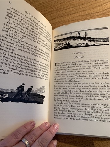 The White Foxes of Gorfenletch by Henry Tegner / B.B -D.J. Watkins-Pitchford 1St - Picture 10 of 12