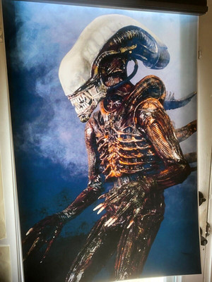 ALIEN Prop Xenomorph alien romulus print Star Trek Yes!