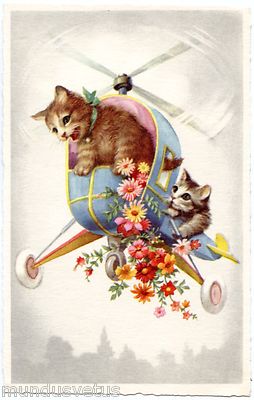 Hübsche kleine Katzen im Hubschrauber. Kätzchen. Schöne Katze im Hubschrauber. kätzchen