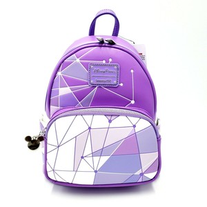 magic kingdom backpack