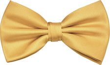 Mens Solid Color Adjustable Pre-tied Bow Tie for Men Party Wedding