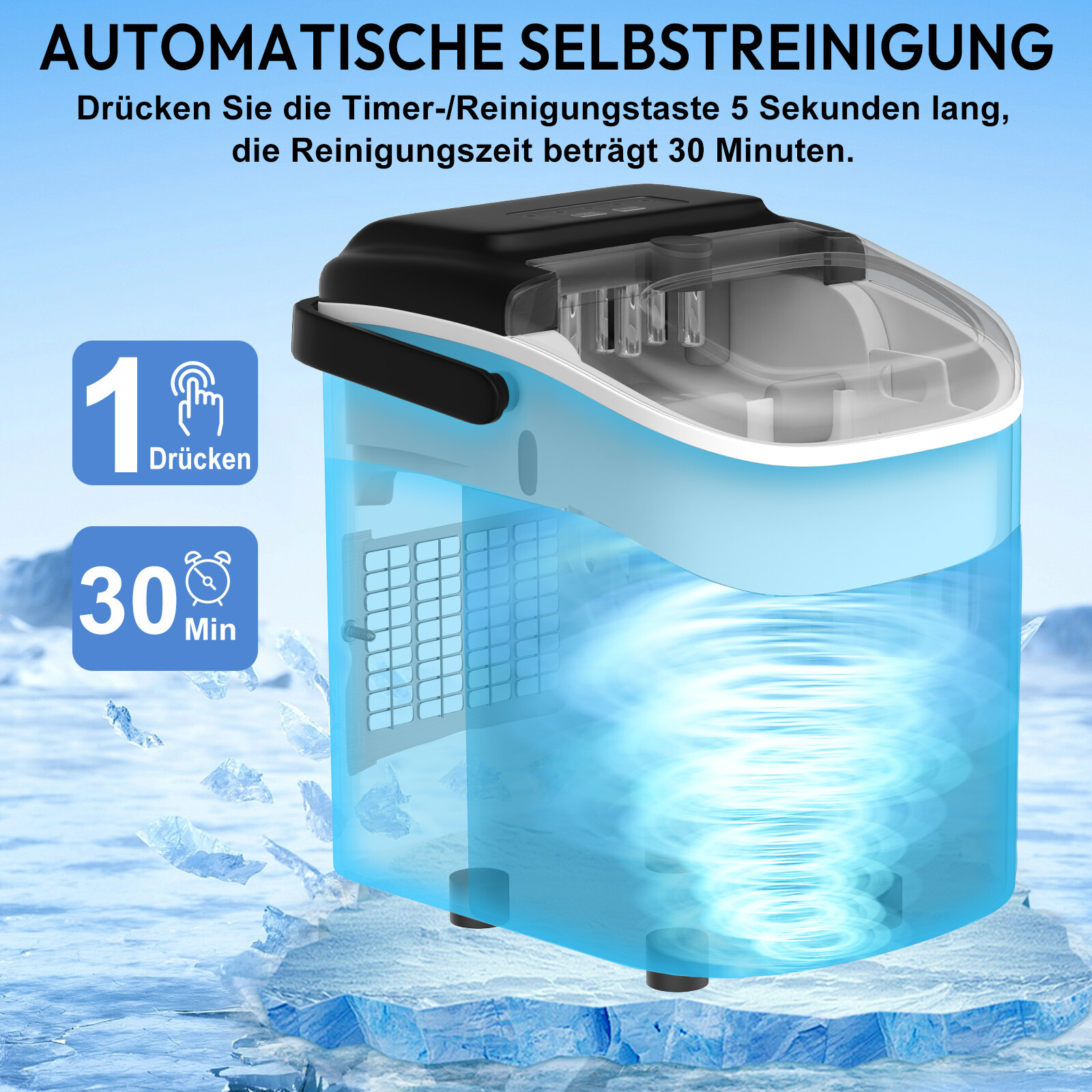 Bild 10 von 12