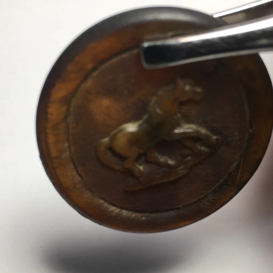 Antique Rare Button Horn Large NBS Horse Opalescent Shank Back Handsome - Image 4 of 4