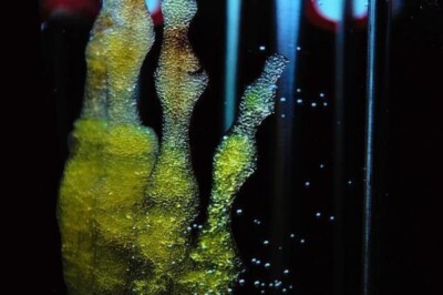 Regenerate with Stem Cells 999- 2. Part - Remote Initiation - Tissue Regeneration