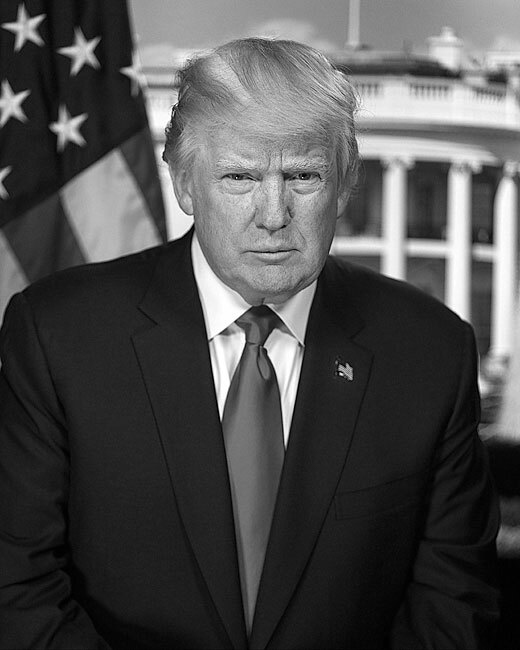 洋書 GET TRUMP PRESIDENT DONALD TRUMP OFFICIAL PORTRAIT B&W 8x10 GLOSSY