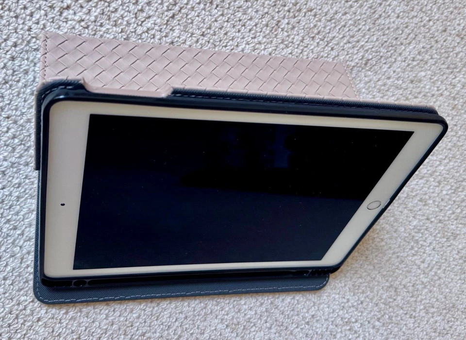 Apple iPad Pro 9.7" hochwertige Leder Hülle Sandfarben Cover mit Fach für Pencil - Bild 2 von 4