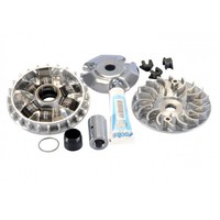 Variator Variomatik Polini Hi Speed FüR Piaggio Liberty Vespa Primavera 125 3V