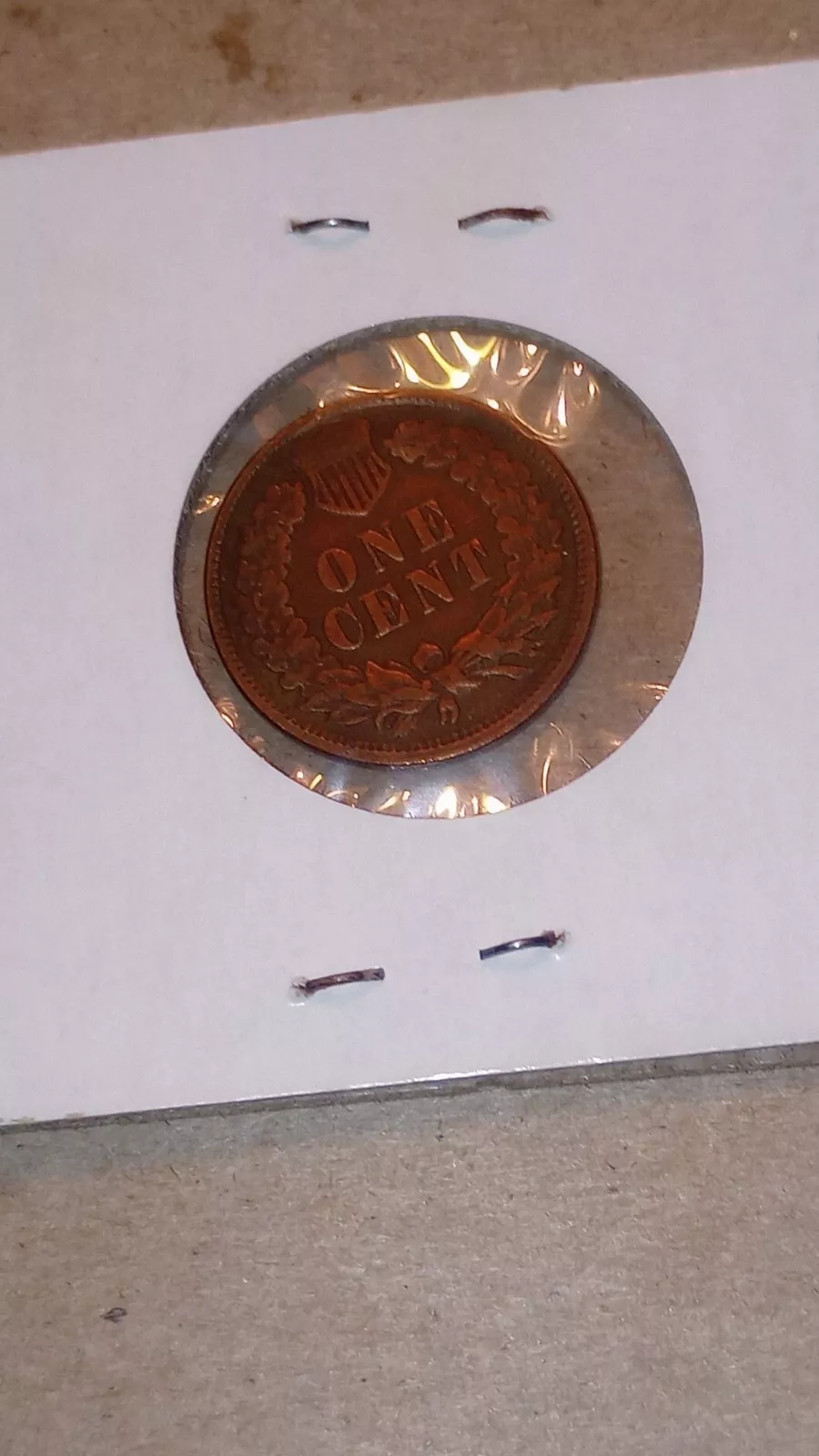 Picture 5 of 7