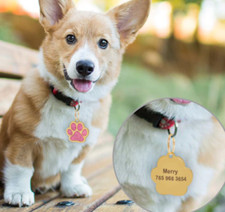 Free Engraved Personalized Cat Puppy ID Tag Pet Dog Collar Accessories