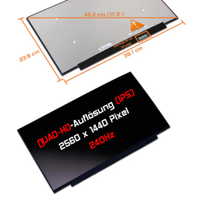 17,3'' WQHD LED Ersatz Display matt für MSI Stealth GS77 12UH 240Hz 100% sRGB 