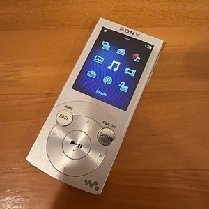 Sony Nw-S203f Silver for sale | eBay