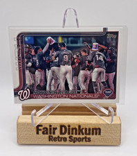 2025 Topps Series 2 Baseball Washington Nationals #507 Team Card