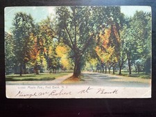 Vintage Postcard 1910 Maple Avenue, Red Bank, New Jersey