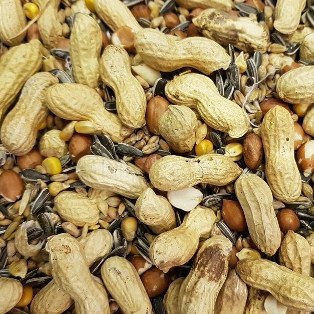 Johnston & Jeff Chipmunk and Squirrel Nut Seed Mix Wild Animal Food