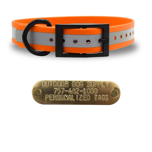 1" Reflective SoftFlex Beta D Ring Dog Collar with Brass Name Plate - Picture 29 of 33