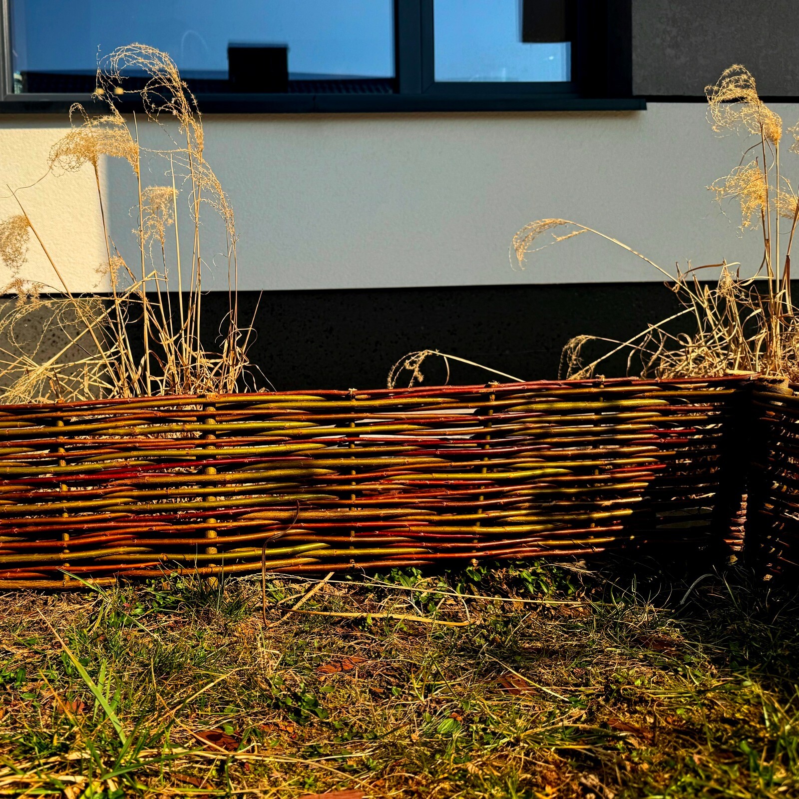 Bild 3 von 8