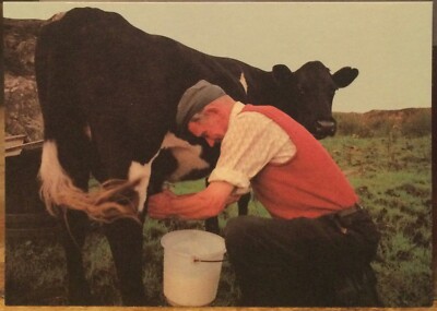 Irish PC Farmer Milking at SLIEVE LEAGUE Donegal Liam Blake Real Ireland SP50