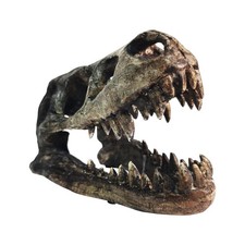 Dinosaur Skull T-Rex Bones Resin Craft Statue for Home Office Shelf Decor Lif...