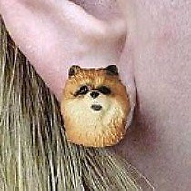 Концепции разговора О Чау-чау с красными серьгами После публикации