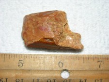 Dinosaur fossil tooth Spinosaurus Cretaceous Era bigger 1.5 inch long E3