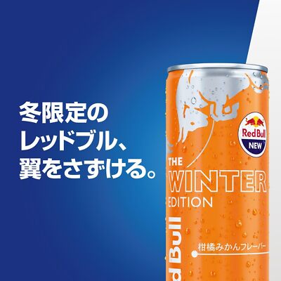 Red Bull Winter Edition 24本×2　48本セット Red Bull Energy Drink winter edition citrus orange flavor