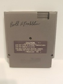 Astyanax (Nintendo Entertainment System, 1990) NES