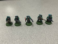 Warhammer 40K Astra Militarum Tempestus Scion Squad Assembled And Painted X5