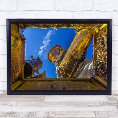 Honigimker Bienen im Bienenstock Tier Wandbilddruck