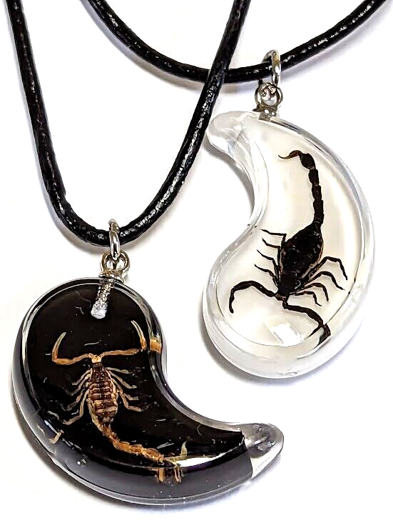 BEST FRIEND Scorpion Yin Yang Pendants Necklace Set BFF Friendship Ying  Black