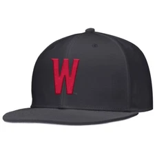 Nike Washington State Cougars Team Issue Fitted Baseball Hat - Anthracite