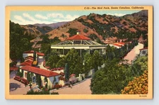 Postcard California Catalina CA Bird Park 1940s Linen Unposted