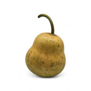 Small Dried Natural 3.5" Bottle Gourd Decor Crafting