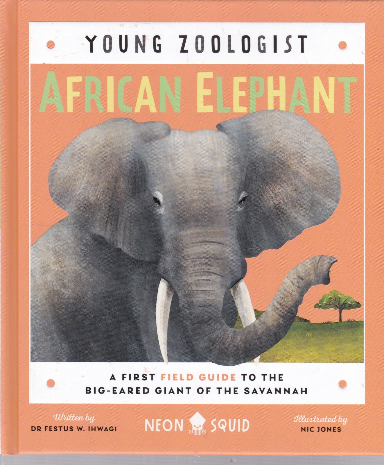 African Elephant Young Zoologist Book age 6+ Children's Learning Facts Guide New