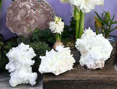 Wholesale Lot 3-4 PCs Natural White Aragonite Quartz Cluster Raw Crystal