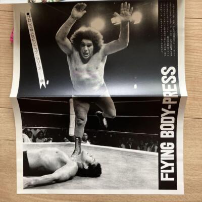 Bessatsu Gong 1977 complete edition professional wrestling