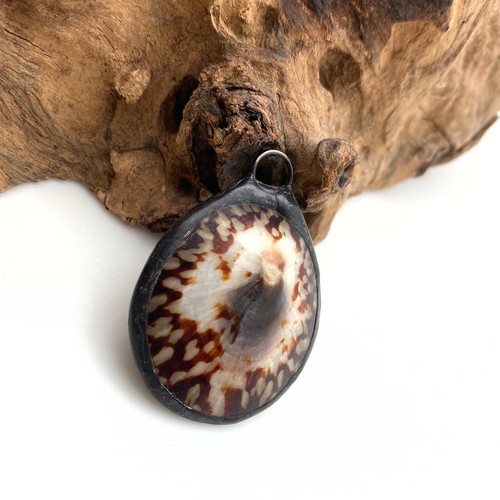 Vintage Puffy Limpet Soldered Shell Pendant (SHP20) - Picture 4 of 11
