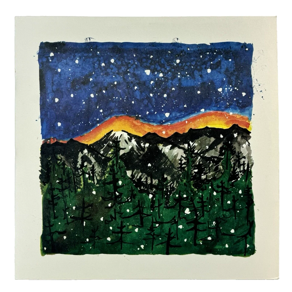 Mono You Are There Double LP Vinyl USA Temporary Residence Limited 2 LP TESTED - Image 2 of 4