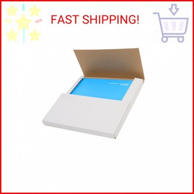 RECORD MIGLIORI AMICI PELUCHES TOBY 15.5 - Foto 2