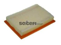Purflux A1129 Luftfilter For Ford Seat Vw
