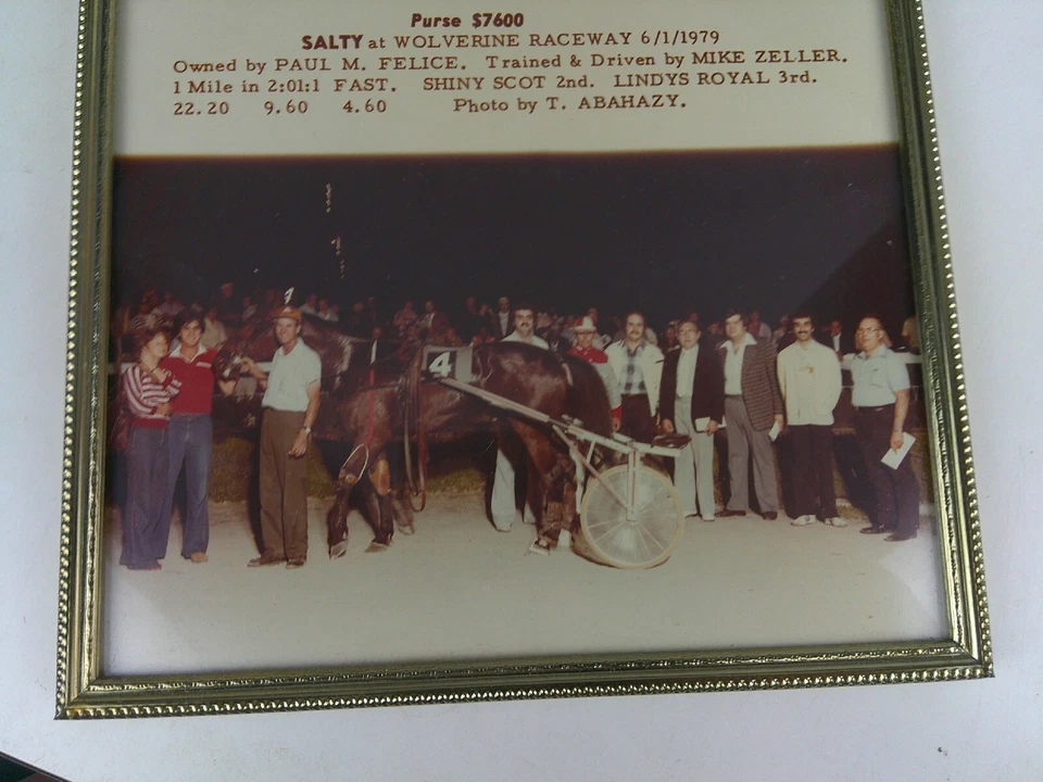 79 Arnés Carreras de Caballos 8X10 Foto Real Salado Wolverine Raceway M. Zeller BIS Foto 3 de 4