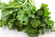 BROCCOLI RAAB SEEDS - SPRING RAPINI - ORGANIC - HEIRLOOM - 1.gram