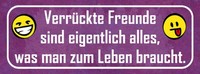 Holzschild 10X27 Cm VerrüCkte Freunde Sind Alles Was Spruch Zitat Deko Geschenk